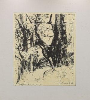 Ignacy BIENIEK (1925-1993), Szczyrk - Buki, 1967