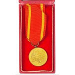 People's Republic of Poland - Badge, Medal in Box For Warsaw 1939-1945, RP Defenders of the Defenders of the Defenders of the Defenders.