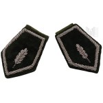 Patches, Patches - Pair of Collar Patches of a Forester, Forester, Forest Guard, Baywatch.