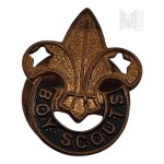 USA - Boy Scouts membership pin, Lily, Scouting