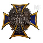 Badge of the 1st Cadet Corps, Cap A. Panasiuk - KOPIA Polish Army
