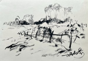 Wiktor Zin (1925-2007), Snopy