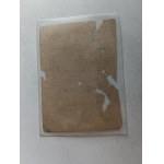 LABEL COMMON SPIRIT IGNASZEWSKI WINE STORE LUBLIN KRAKOWSKIE PRZEDMIEŚCIE