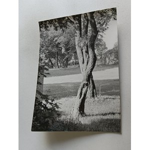 PHOTO CODEINE, FOT MYSTKOWSKI KACZKOWSKI, STAMP