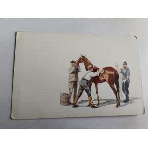 CAVALLO, SOLDATO