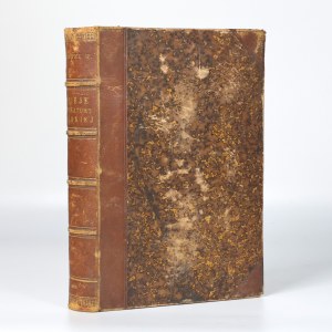 (half-leather binding) Spasowicz, W. — A History of Polish Literature [1885]