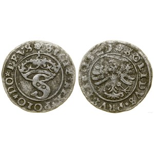 Poland, sheląg, 1529, Toruń