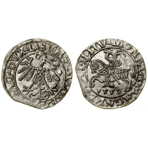 Poland, half-penny, 1559, Vilnius