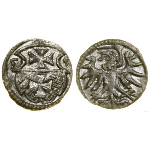 Poľsko, denár, 1555, Elbląg