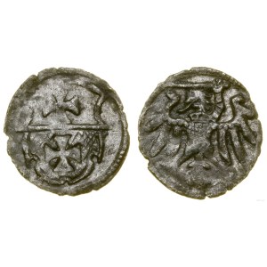 Poland, denarius, 1556, Elbląg