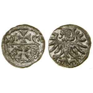 Poland, denarius, 1557, Elbląg