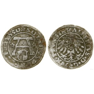 Kniežacie Prusko (1525-1657), šelak, 1530, Königsberg