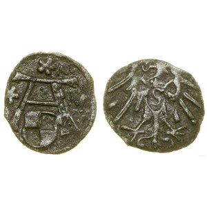 Prusy Książęce (1525-1657), denar, bez daty, Królewiec