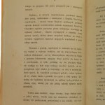 Úloha Národnej organizácie v poľskej veci [1864].