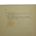 Ľvov pre Jagiello historické príbehy od Franciszka Jaworského [Biblioteka Warszawska / 1910].