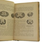 Utrpení nervového systému Utrpení míchy Příručka pro lékaře-praktiky a studenty Stanislaw Orlowski [1922].