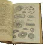 Utrpení nervového systému Utrpení míchy Příručka pro lékaře-praktiky a studenty Stanislaw Orlowski [1922].