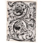 Marcantonio Raimondi (scuola di) ( c. 1480 - 1534 ), Vegetal grotesque in the shape of an inverted S, after Giovanni da Udine?