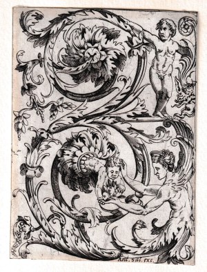 Marcantonio Raimondi (scuola di) ( c. 1480 - 1534 ), Vegetal grotesque in the shape of an inverted S, after Giovanni da Udine?