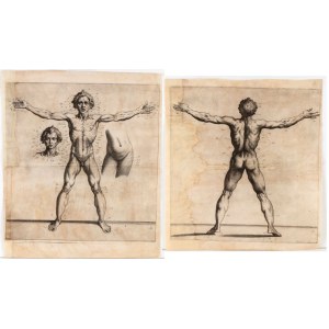 Raffaele Schiaminossi ( 1572 - 1622 ), Vitruvian Man