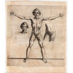 Raffaele Schiaminossi ( 1572 - 1622 ), Vitruvian Man