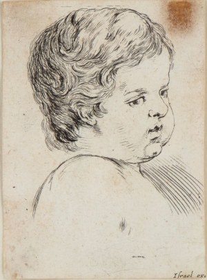 Stefano della Bella ( Firenze 1610 - 1664 ), Head of a child turned three-quarters