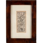 Stefano della Bella ( Firenze 1610 - 1664 ), Ornamental panel with two boar heads, from Ornamenti o grottesche