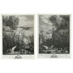 Jacques Philippe LeBas ( 1707 - 1783 ), Les Canards, after David Teniers the Younger