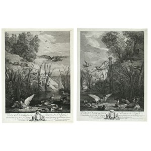Jacques Philippe LeBas ( 1707 - 1783 ), Les Canards, after David Teniers the Younger
