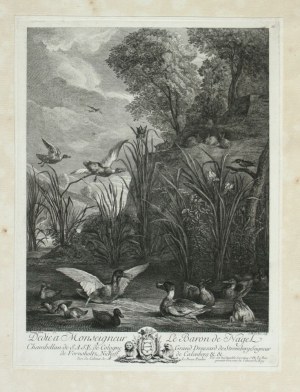 Jacques Philippe LeBas ( 1707 - 1783 ), Les Canards, after David Teniers the Younger