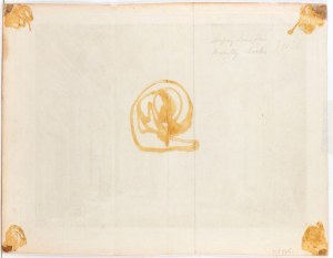 Louis Jean Desprez ( 1743 - 1804 ), Architecture, Sallon (Internal view of Palazzo Spinola in Genoa), after Charles de Wailly,
