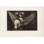Francisco Goya ( 1746 - 1828 ), Disparate volante