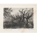 LUIGI BARTOLINI ( Cupramontana 1892 - Roma 1963 ), Filare di viti (Campagna dolce maceratese), 1914-1936