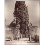 Frascati, 1880 ca.