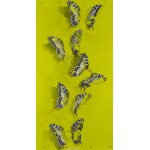 Bartłomiej Stypka (ur. 1983, Częstochowa), Papilio acid, 2023