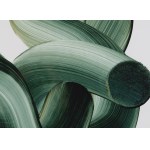 Nikodem Szpunar (b. 1987, Rzeszów), Untitled, 2021