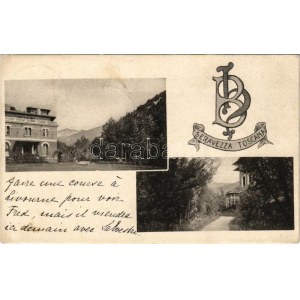 1909 Seravezza, villa (EK)