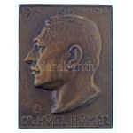 Beck Ötvös Fülöp (1873-1945) 1916. "Dr. Hültl Hümér 1914 - 1915 -1916" egyoldalas öntött bronz plakett (67x52mm) T...
