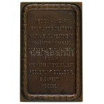 Berán Lajos (1882-1943) 1906. "Semmelweis Ignác Fülöp 1818-1865 / MEDICO HUNGARO PROF. ARTIS OBSTETR. IN UNIV...