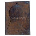 Berán Lajos (1882-1943) 1913. "Dr. Basch Imre közkórházi főorvos - szül. 1863...