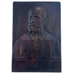 Farkas Miklós (1875?1919) 1908 k. "Than (Károly 1834-1908)" egyoldalas öntött bronz emlékplakett (155x105mm) T...