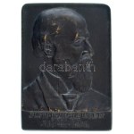 Finta Sándor (1881-1958) 1914k. "Szalóki Navratil Imre Dr. egyetemi tanár 80ik születésnapja emlékére hálás tanítványai...