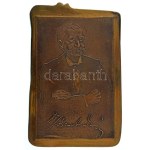 Fritz Mihály (1947-) 1979. "Jósa András" egyoldalas bronz plakett (174x113mm) T:AU