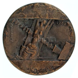 Madarassy Walter (1909-1994) 1966. Dr. Alexander Béla 1857-1916 öntött bronz kétoldalas emlékérem. (94mm) T...