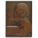 Pásztor János (1881-1945) 1912. "DR. GENERSICH ANTALNAK HÁLÁS TANÍTVÁNYAI 1912" bronz, vert, egyoldalas plakett ...