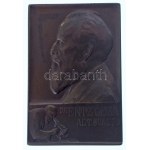 Pásztor János (1881-1945) 1912. "Dr. Entz Géza AET. SUAEZO" egyoldalas vert bronz plakett (40x60mm) T:AU...