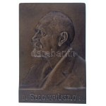 Radnai Béla (1873-1923) 1911. "Dr. Szegvári László" egyoldalas öntött bronz plakett (97x144mm) T:AU Hungary 1911. "Dr...