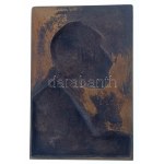 Radnai Béla (1873-1923) 1911. "Dr. Szegvári László" egyoldalas öntött bronz plakett (97x144mm) T:AU Hungary 1911. "Dr...