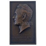 Szentgyörgyi István (1881-1938) 1937. "Nagyrápolti Szent-Györgyi Albert - Szeged" egyoldalas vert bronz emlékplakett ...
