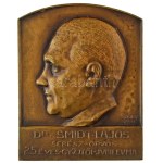 Sződy Szilárd (1878-1939) 1936. "Dr. Smidt Lajos sebész-orvos 25 éves gyűjtői jubileuma ...